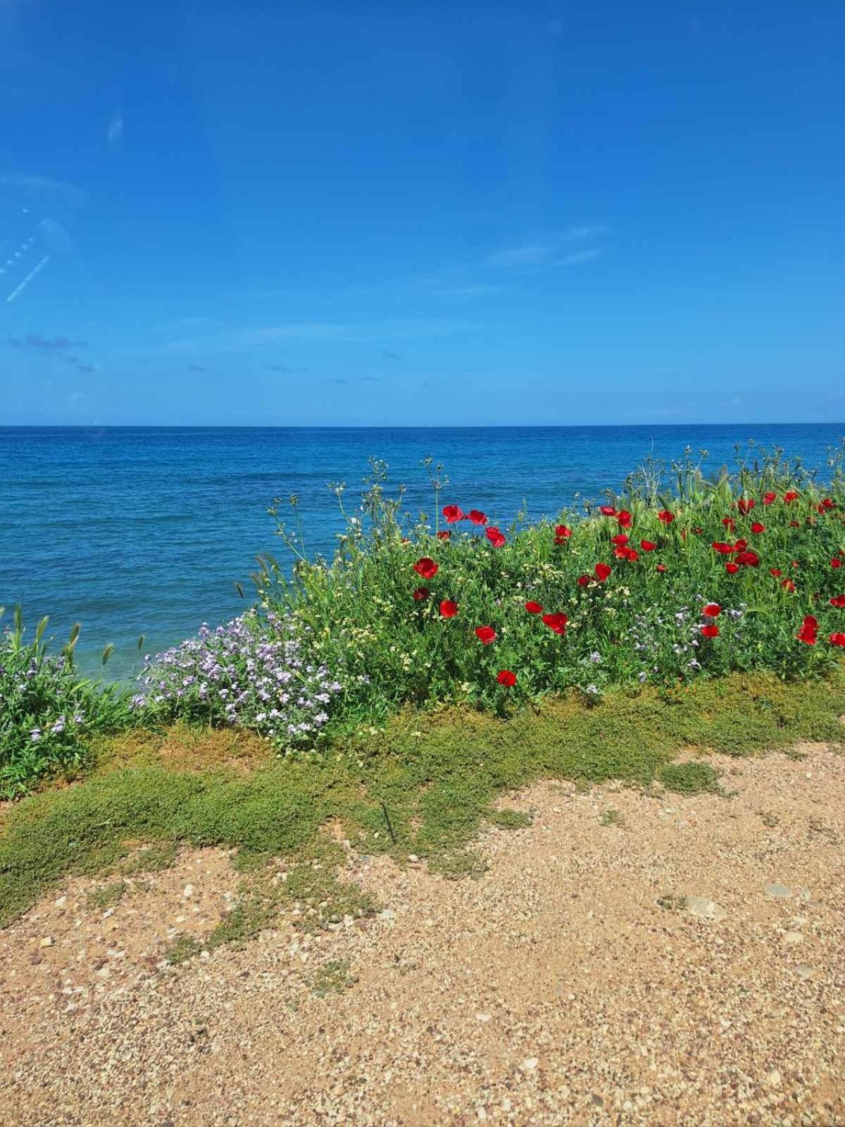 Ariadne Studio Kyparissia Dış mekan fotoğraf